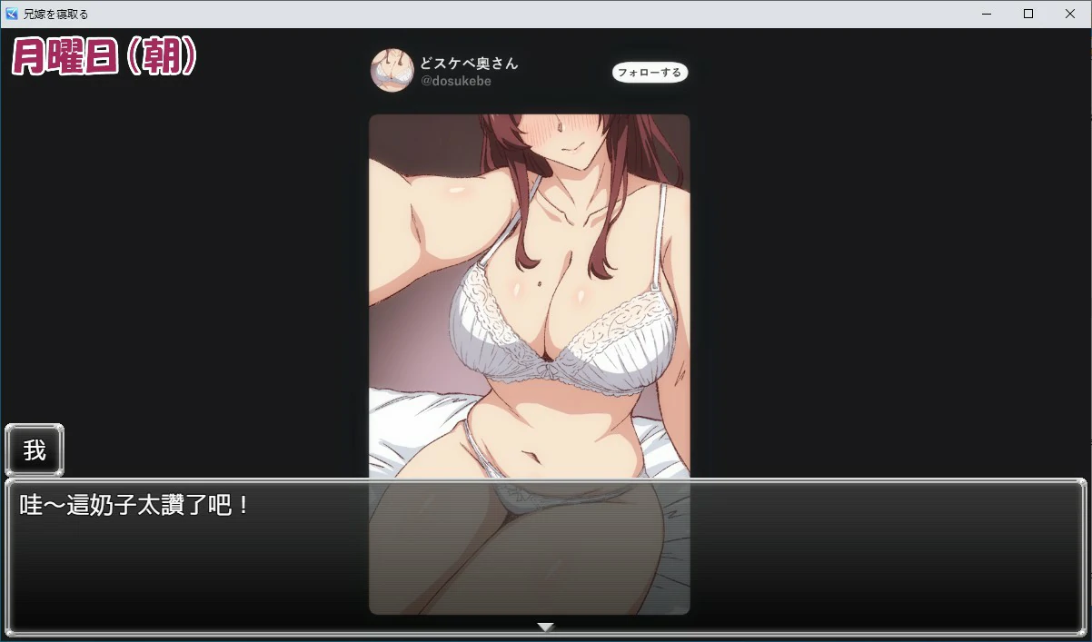 夺取兄嫂 ～屈服于我胁迫的义姐之淫乱秘密～ 封面 3