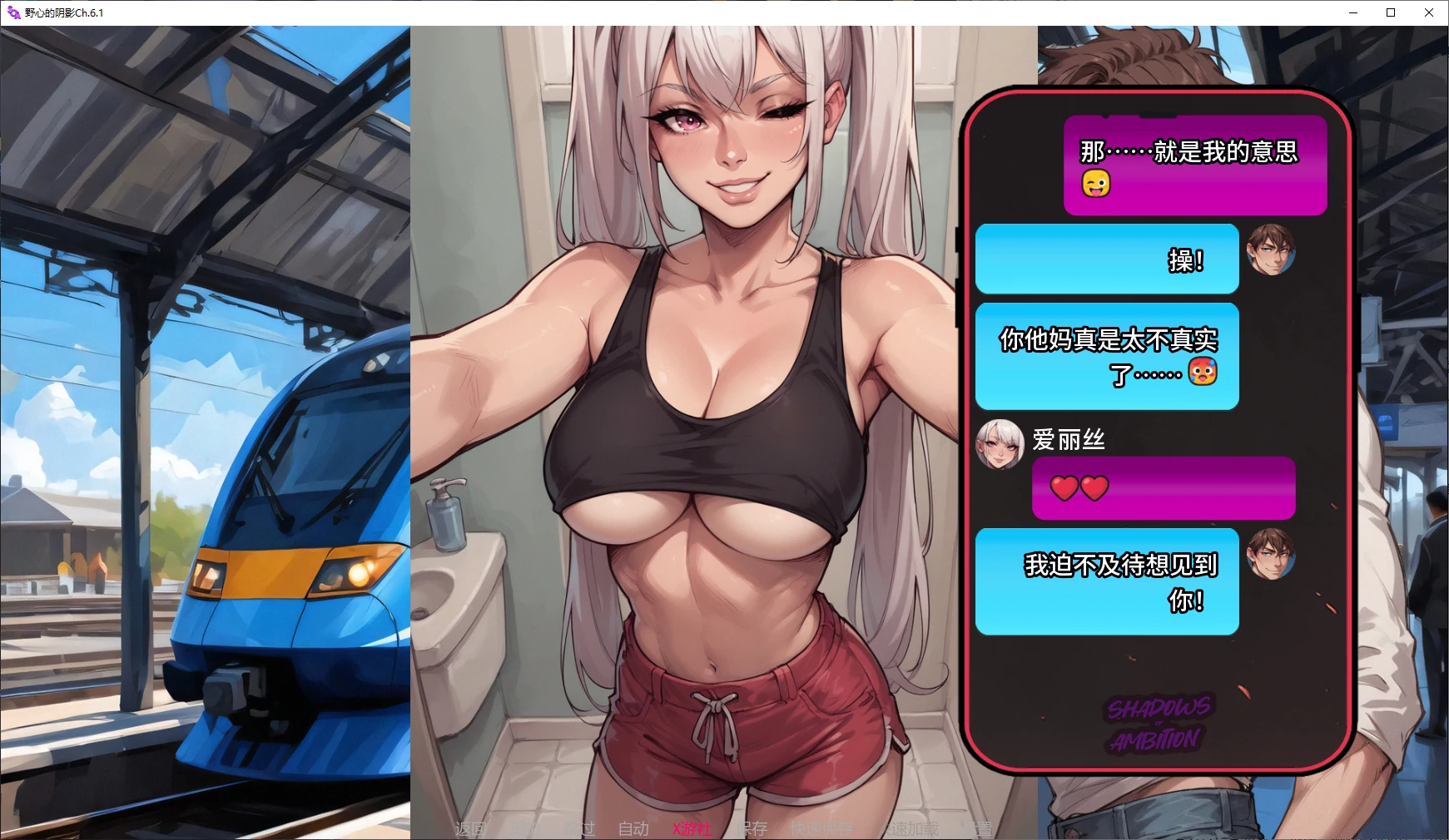 野心的阴影 封面 2
