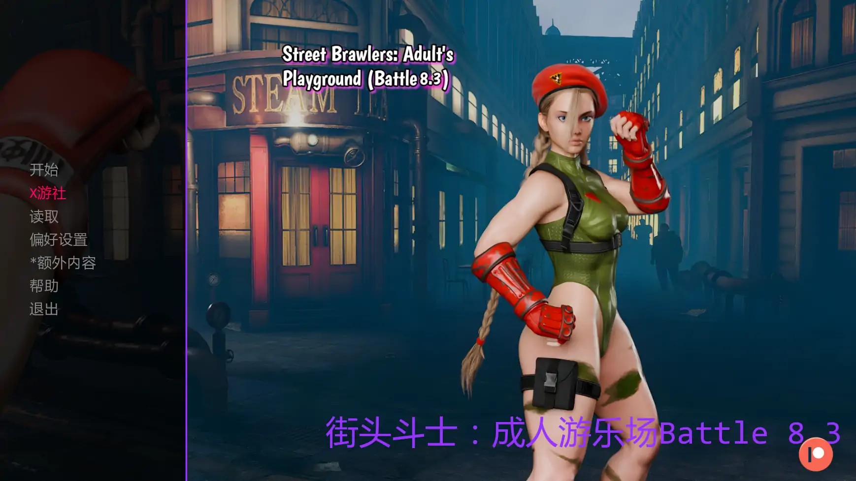 街头斗士：成人游乐场