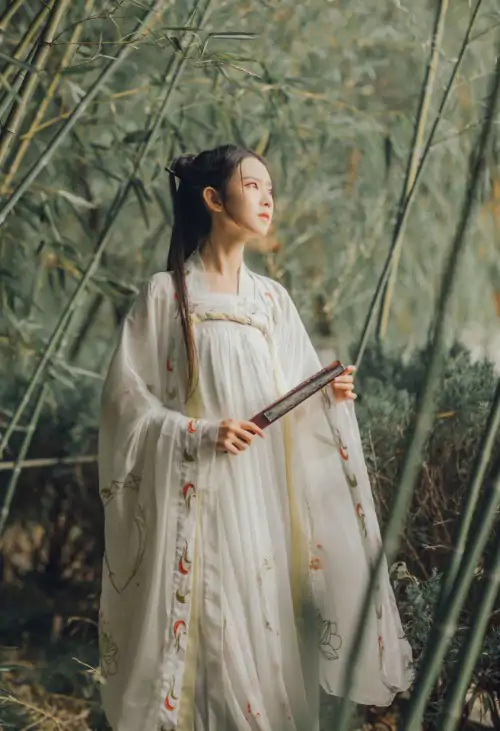侠女逍遥录 封面 2