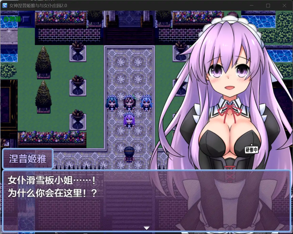女神涅普姬雅与与女仆庄园 封面 3