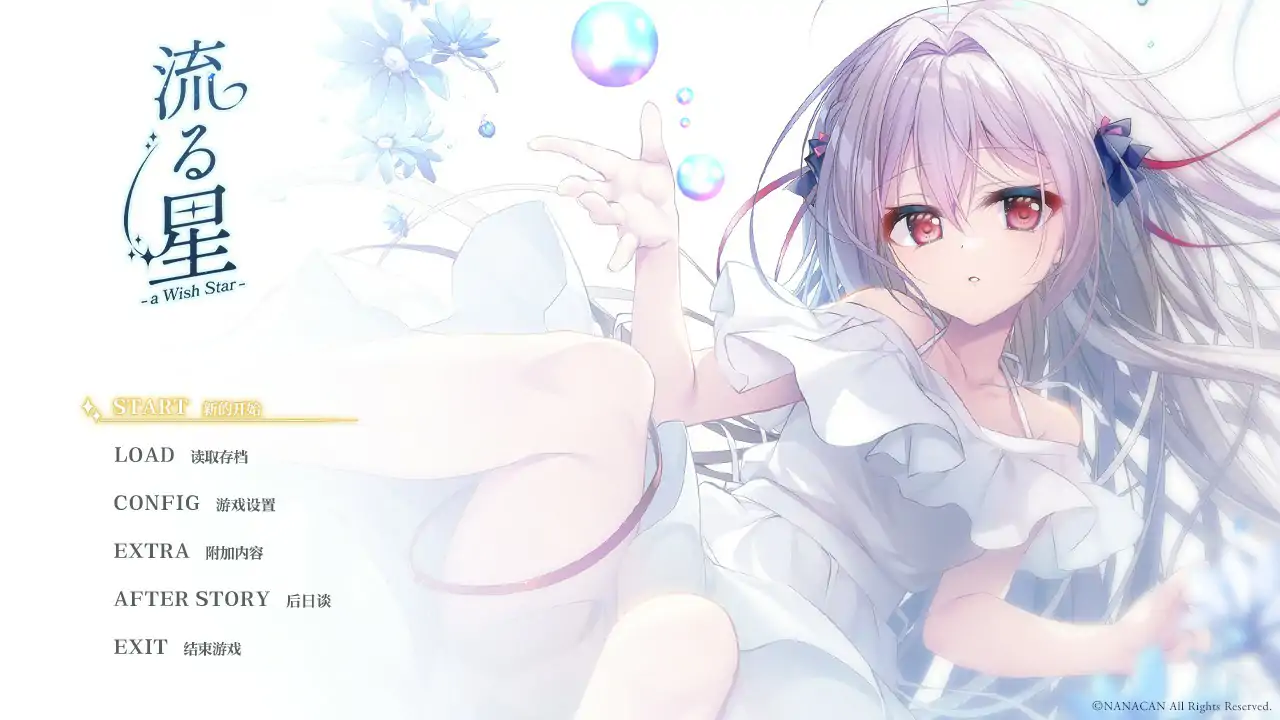 流星 a wish star