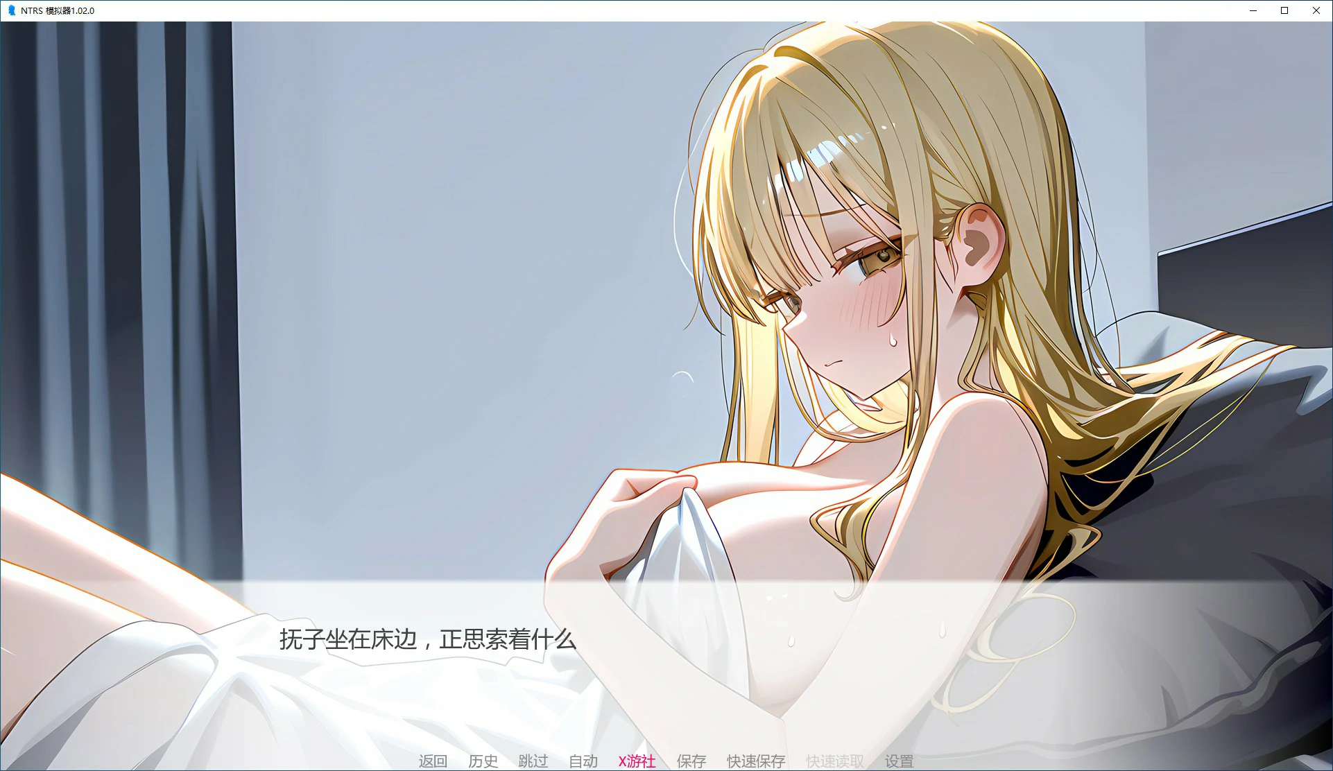 NTRS! 模拟器 封面 3