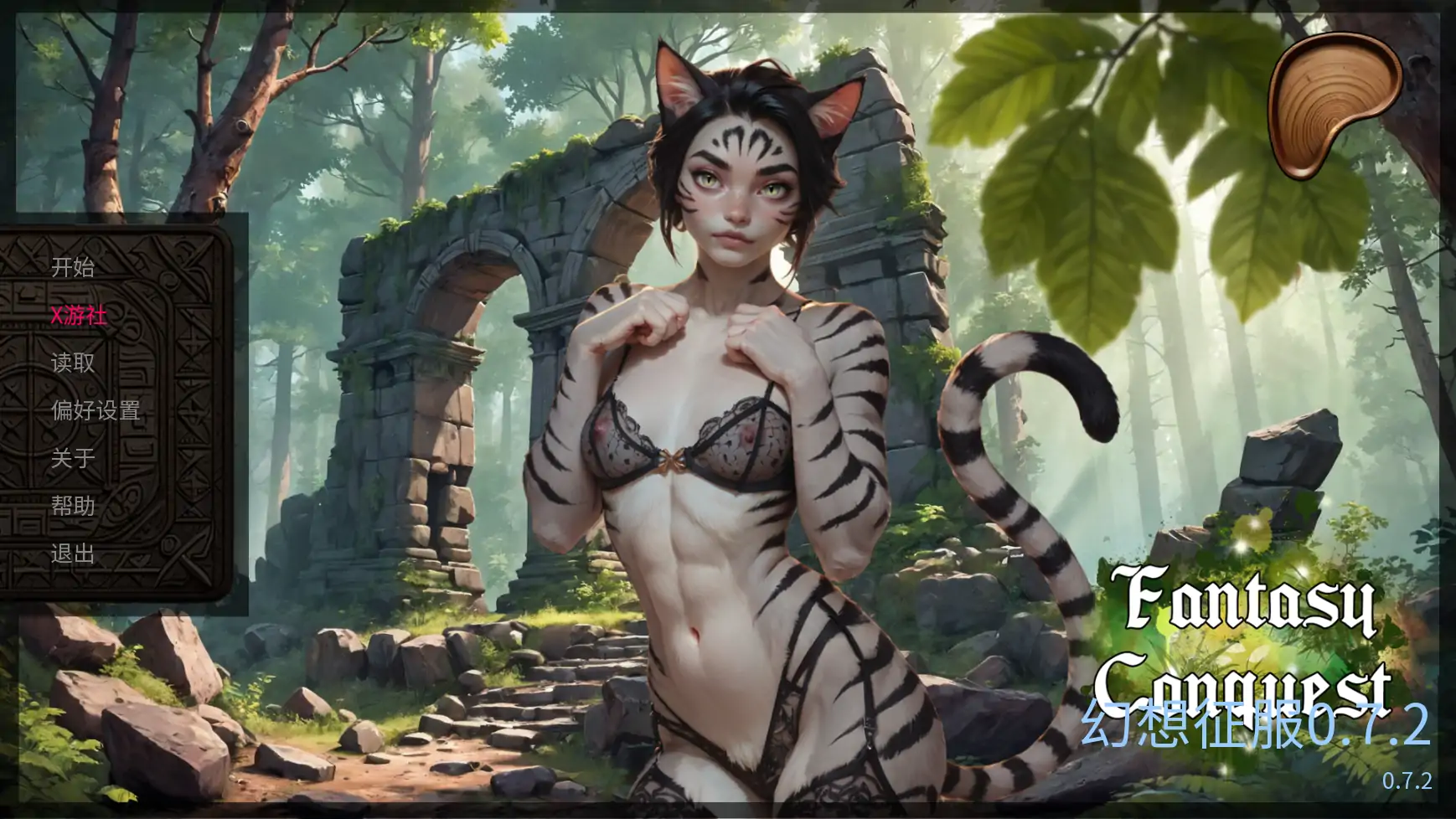 幻想征服 封面 1