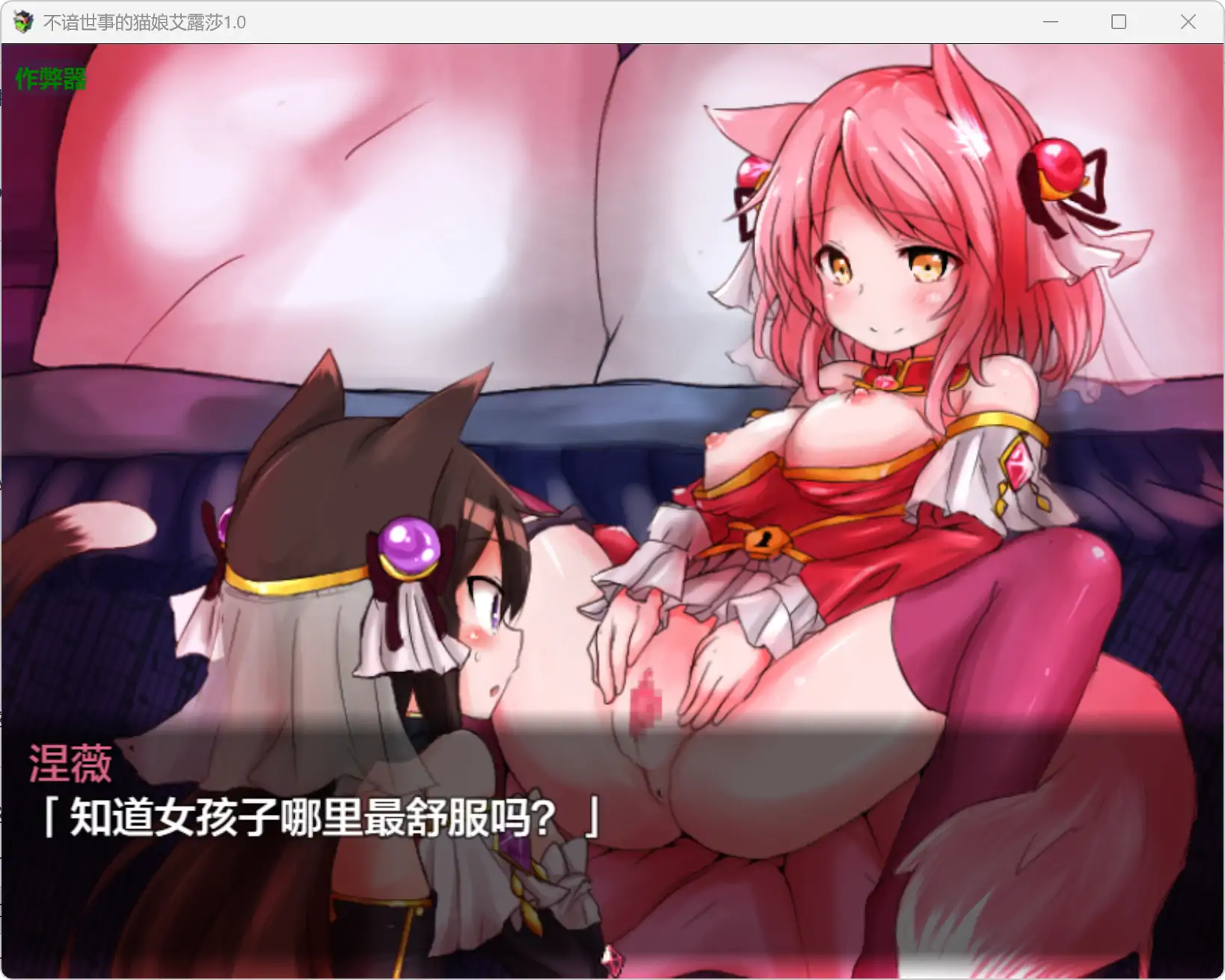 不谙世事的猫娘艾露莎 封面 2