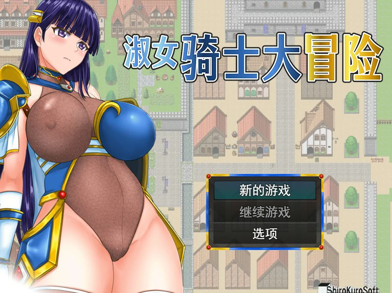 淑女骑士大冒险 封面 1