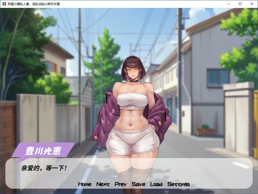 沉沦的丰腴人妻·无尽交合的洗脑调教 封面 2