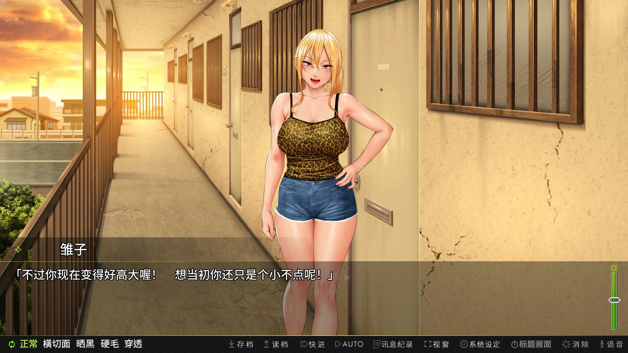 【ADV/动态/中文】前不良人妻 雏子 官方中文版【PC/0.55G】 封面图 2